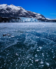 Glacier Bay