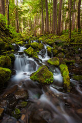 Sol-Duc Brook