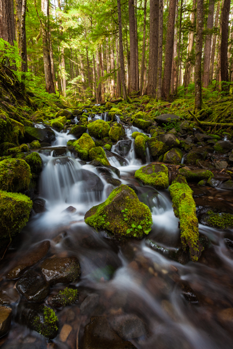 Sol-Duc Brook